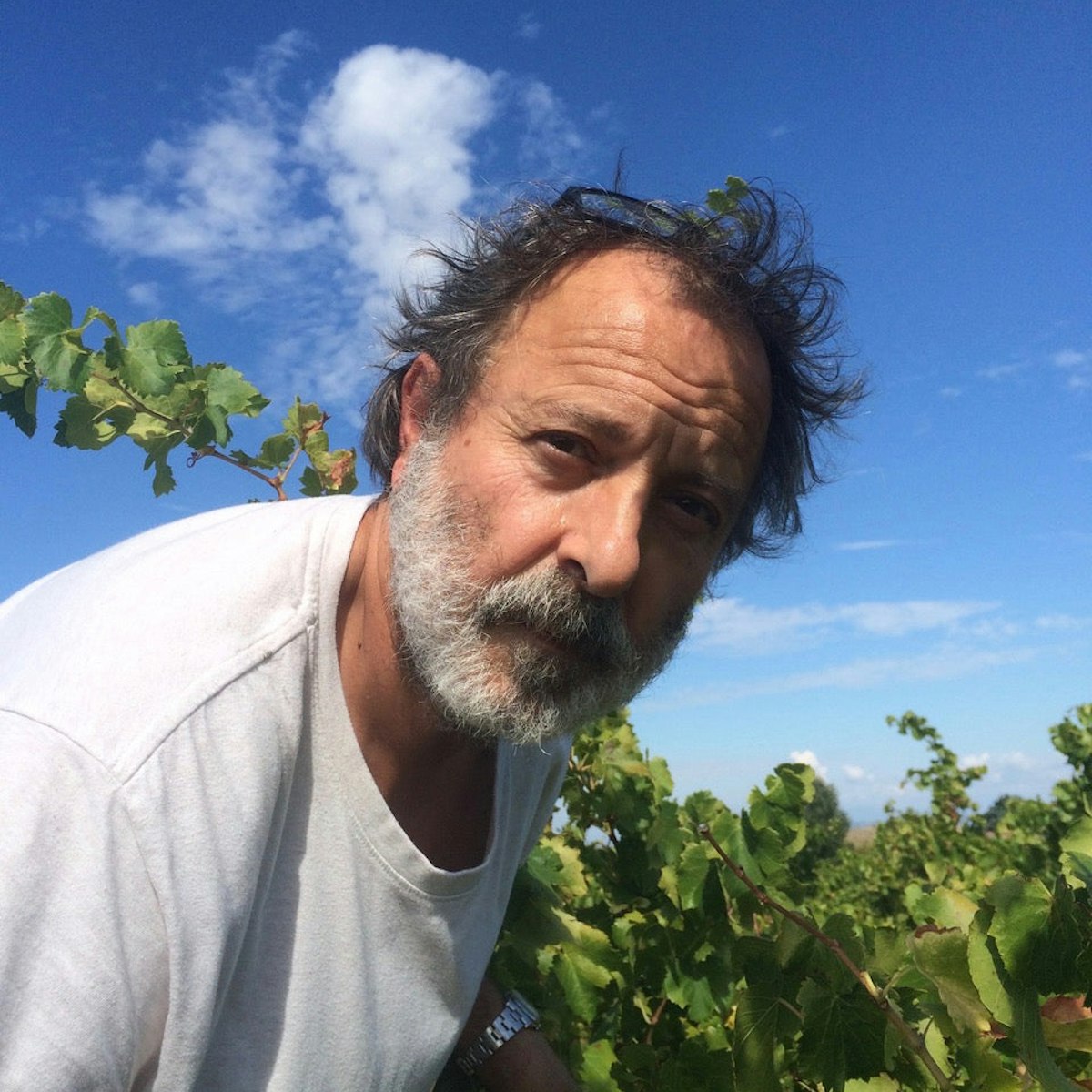 La Vieille Julienne Pakket